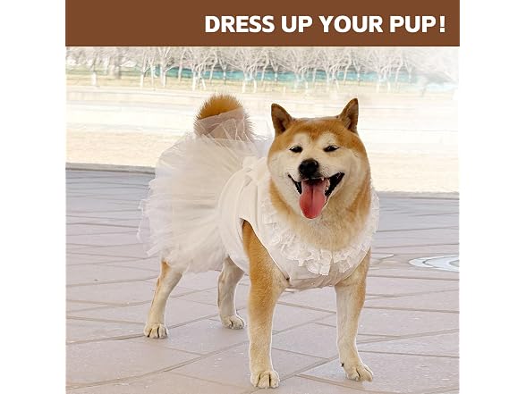 Formal Dog Dresses for Large Dogs White Dog