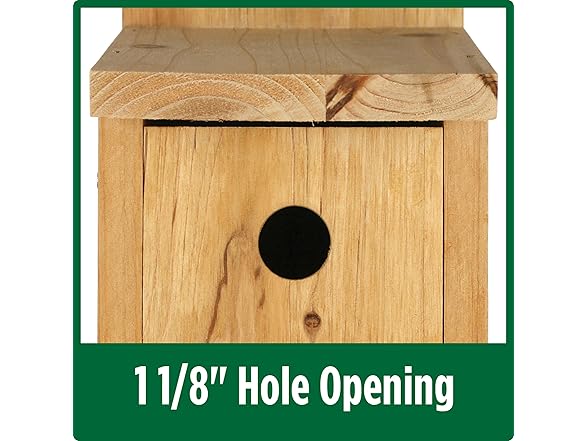 Nature's Way Cedar Box Wren House