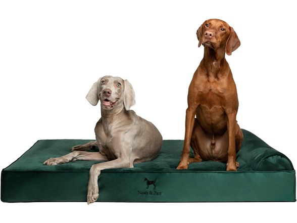 NOAH & PAW Orthopedic Dog Beds- XXLarge