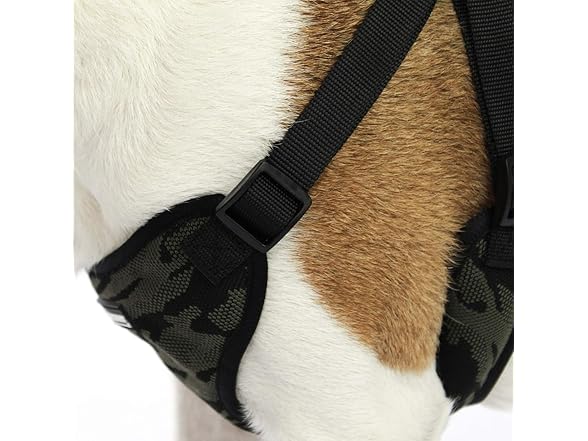 AKC Step-in Camo Dog Harness – No Pull