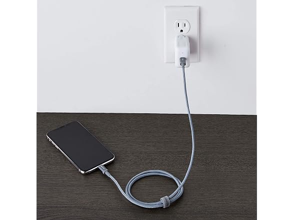 Amazon Basics iPhone Charger Cable