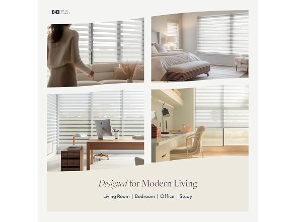 CHICOLOGY Zebra Blinds Cordless Window Shades 58"W x 72"H
