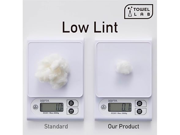 Towel Laboratory Bath Towels Set of 4 [Japan Technology]