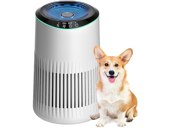 Small Air Purifier for Bedroom White