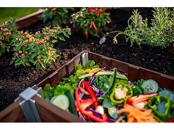 Vita Urbana 6x6 Keyhole Garden