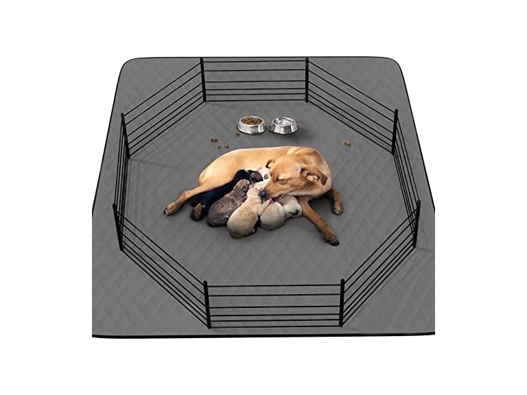 CoolShields Dog Pee Pad 72"x72"