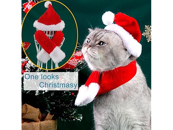 Pets Safari Cat Santa Hat Large