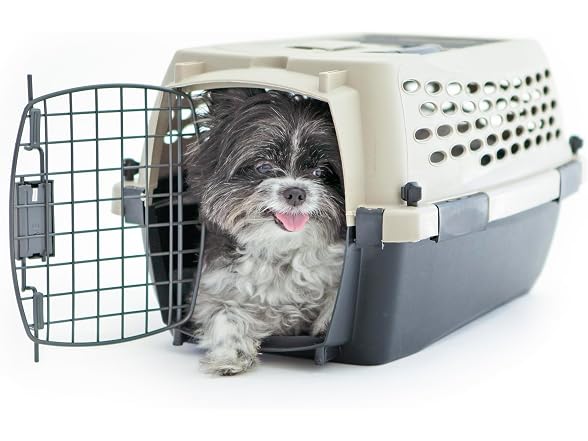 Petmate Vari Dog Kennel, Carrier, XS 19in