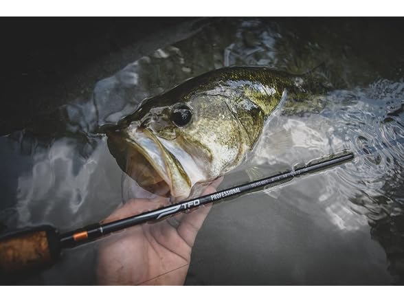 Temple Fork Outfitters 7' M 1 pc. Professional Rod