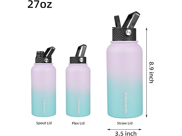 BJPKPK 27oz Insulated Water Bottles with Straw Lid