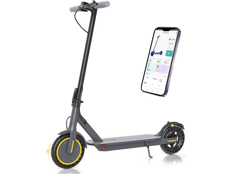 Roinside Electric Scooter - 350W Motor