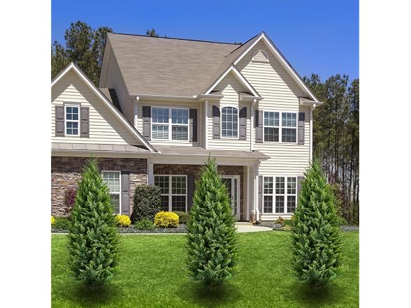 FZHCZWZX Artificial Topiary Tree 2 Set