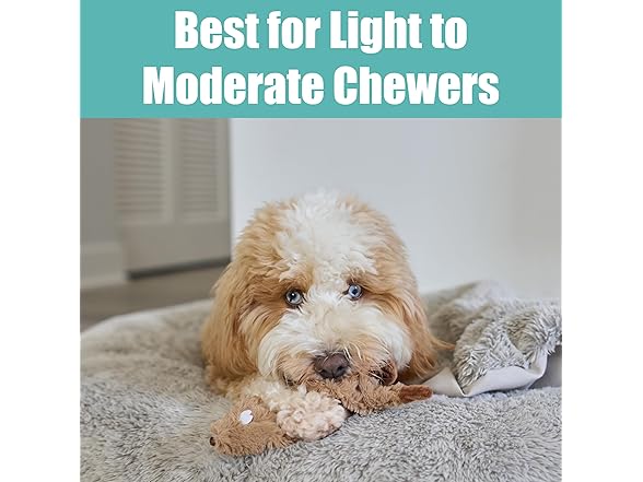 SPOT Skinneeez Beaver Dog Toy