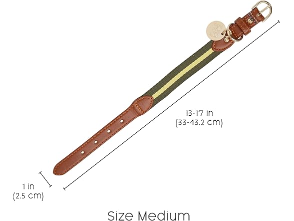 Harry Barker Green Pieced Stripe Buckle Collar