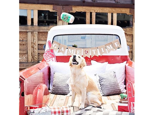 Fringe Studio Plush Dog Toy, Game Day IPA