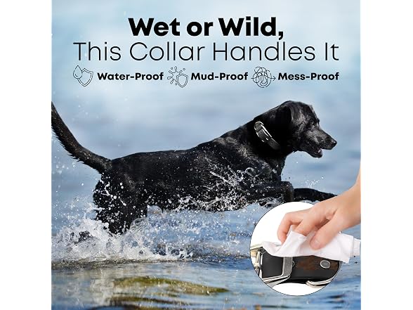 Regal Dog Products Waterproof Dog Collar, Vi
