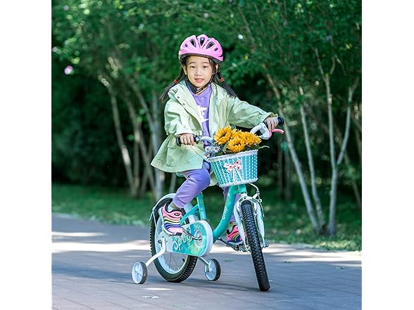 Royalbaby Chipmunk Girls Bike,14 Inch