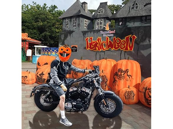 GLAHORSE Motorcycle Helmet Cover
