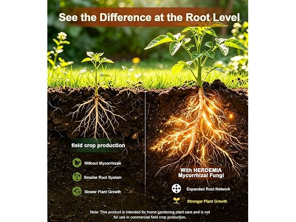 Herdemia HDM-Mycorrhizal Fungi-240g