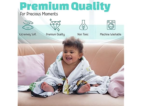 Baby Monthly Milestone Blanket