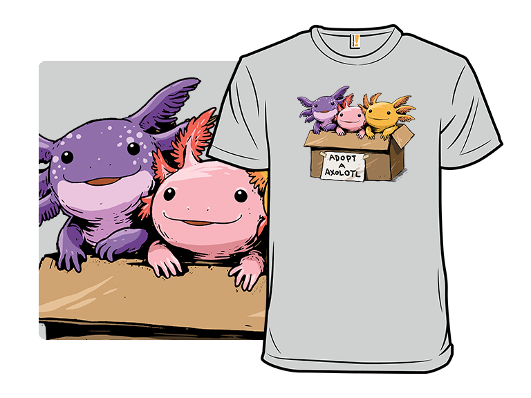 Adopt a Axolotl - Gallery 3