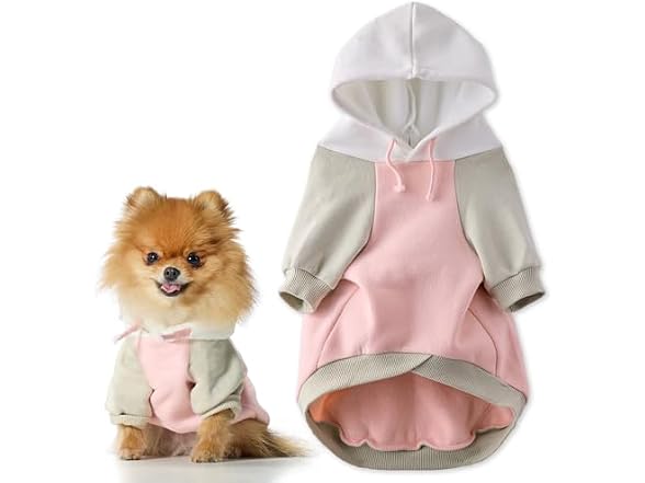 Pet Passion Rocky II Dog Hoodie, Pink Color Block, XXS