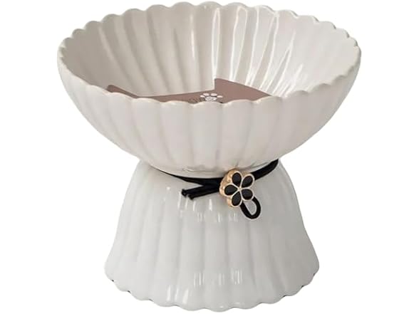 Dexypaws: Elevated Ceramic Bowl for Cats