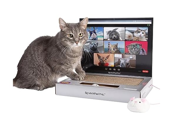 WHAT DO YOU MEME? Laptop Cat Scratcher