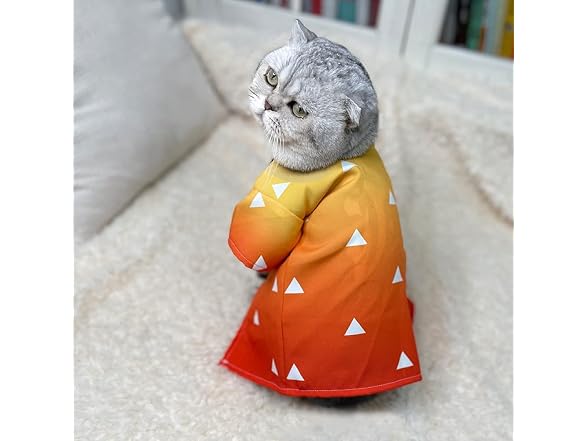 Cat Costume Anime Cat Clothes Cat Halloween