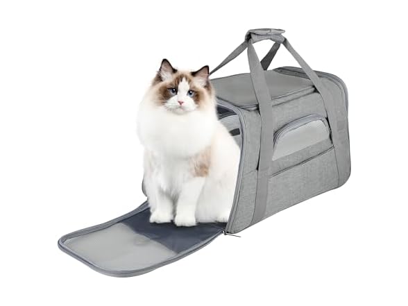FluffyDream Soft Pet Travel Carrier