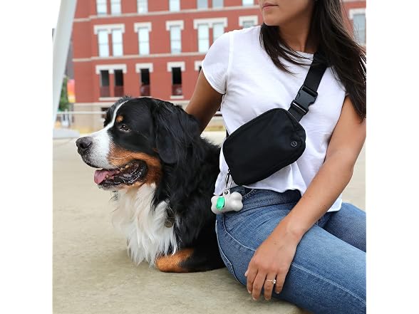 Arm and Hammer Dog Bone Poop Bag Dispenser