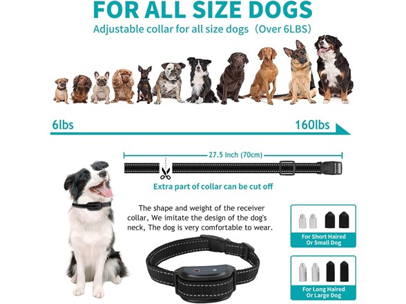 Rechargeable Dog Training Collar