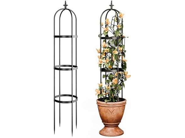 Idzo Trellis for Climbing Plants