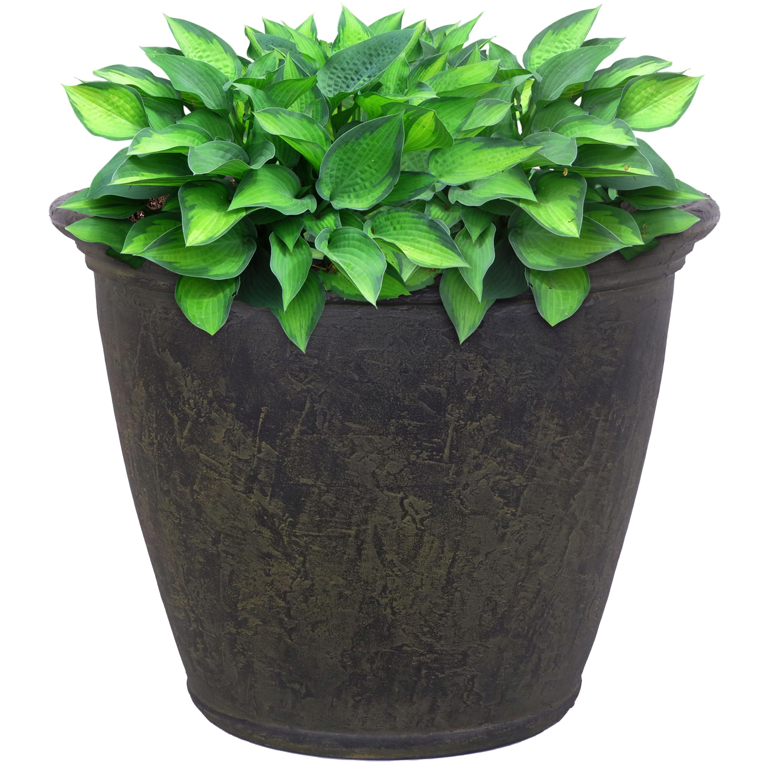 Sunnydaze 24" Anjelica Large Plastic Pot - Gallery 15