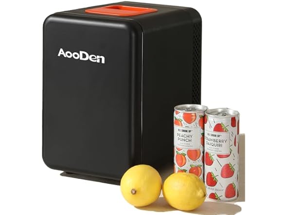 Electric Car Cooler & Warmer