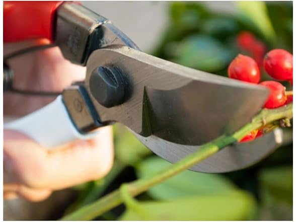 Niwaki Secateurs