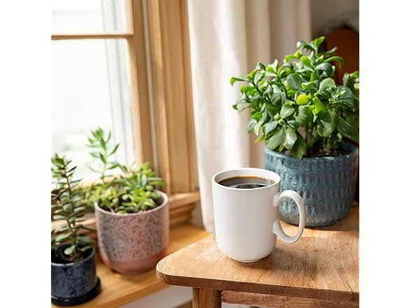 Cameron's Highlander Grog Coffee, 12oz