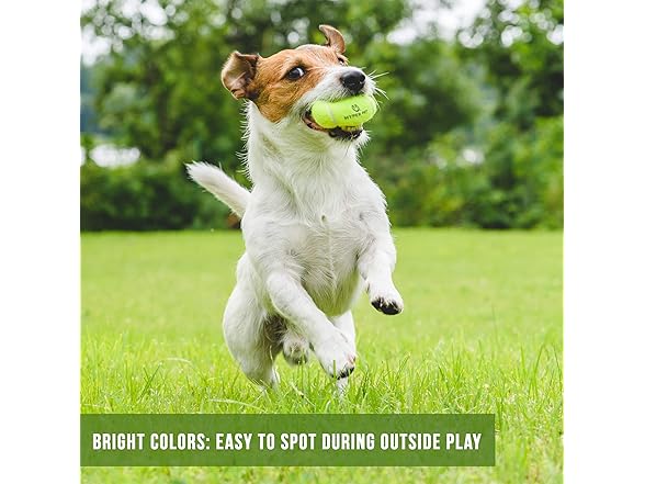 Hyper Pet Tennis Balls for Dogs; Pet Saf