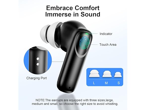Digital Hearing Aids With Cleaner