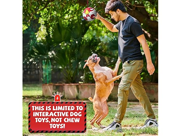 QDAN Chicken Dog Toys Soccer Ball with Straps