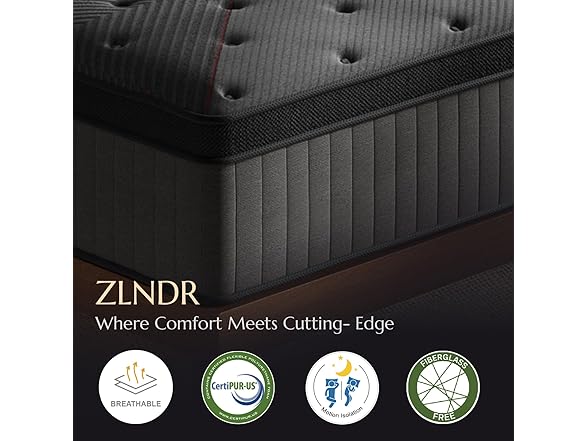 ZLNDR 10 Inch Queen Mattress