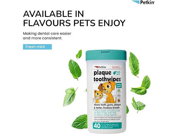 PETKIN Toothwipes Dogs/Ca Size 40ct Toothwip