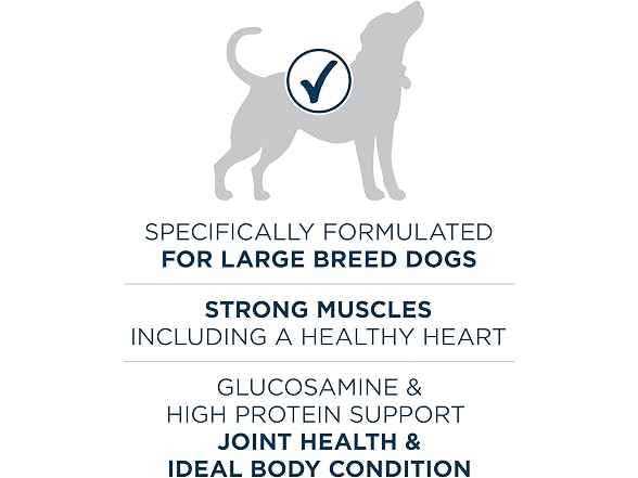 Purina One +Plus Dry Dog Food for Large Dogs