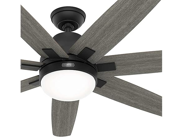 Hunter Fan 60" w/ Light Kit and 7-Blades