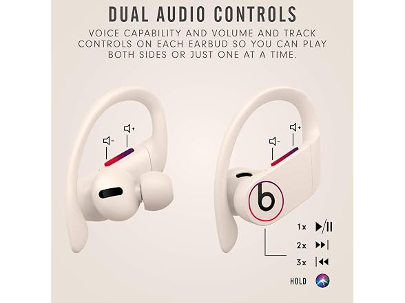 Beats Beats Powerbeats Pro Wireless Earbuds -