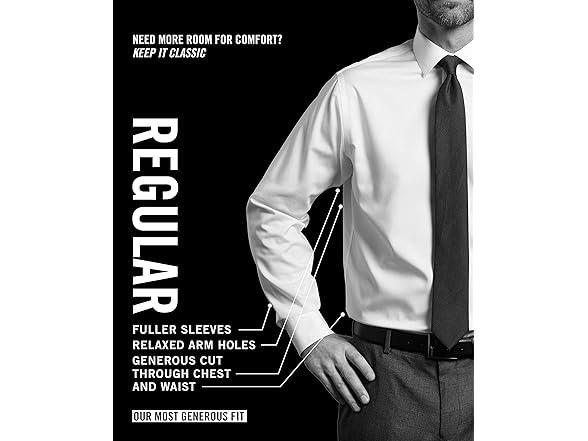 Men's Van Heusen Dress Shirt Regular Fit (L)