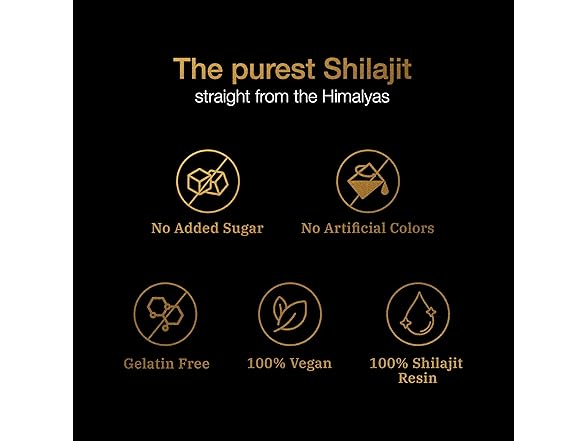 Be Bodywise Shilajit Gummies 60ct