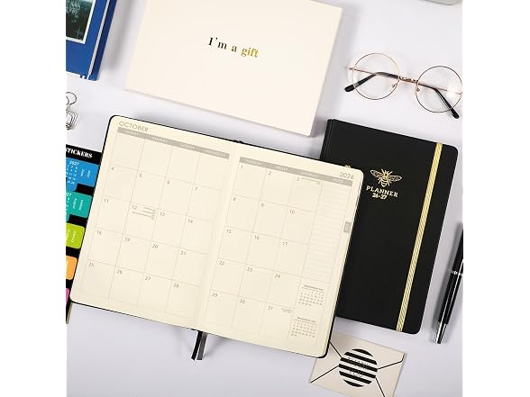 Artfan 2026-2027 Planner - Planner 2026-2027 Saf