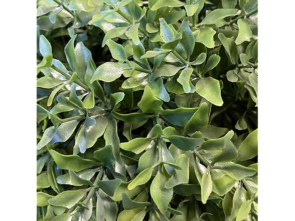 National Tree Company Holly Bush Shrub