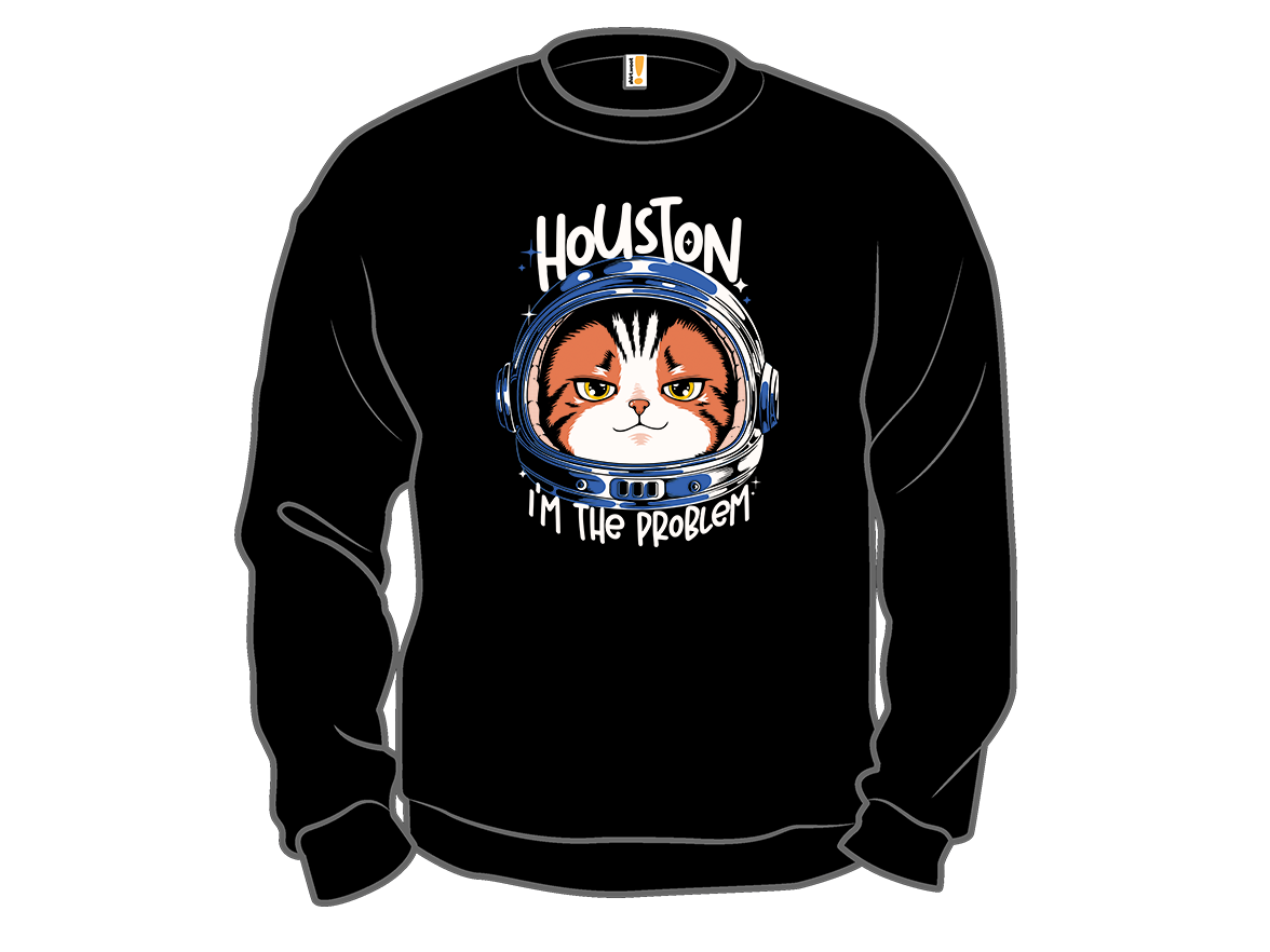 Houston Mood Problem - Gallery 11